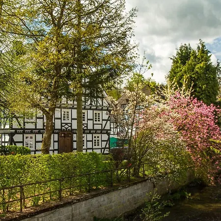 Feldmann-schuette Schmallenberg